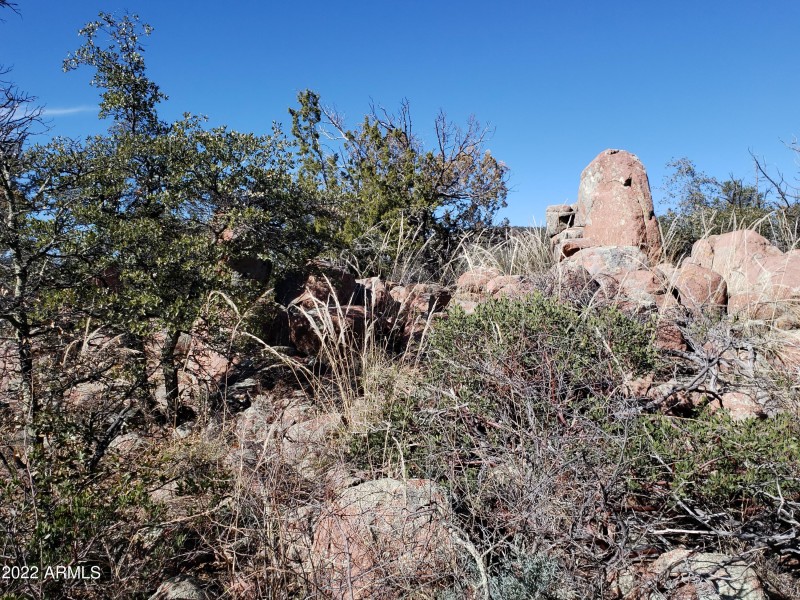 Prcl 3 Vegetation in the Boulders