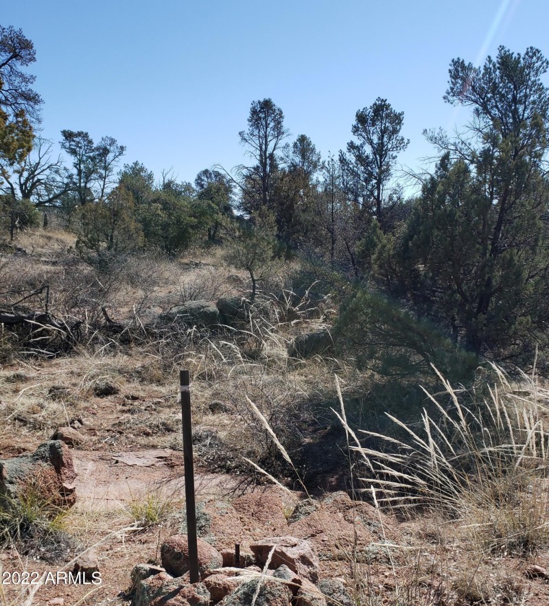 Survey Monument West edge