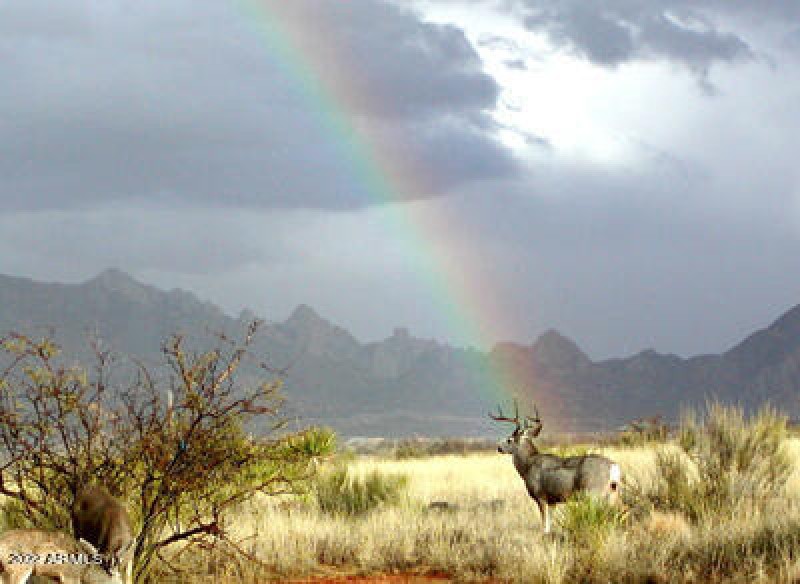 RAINBOW