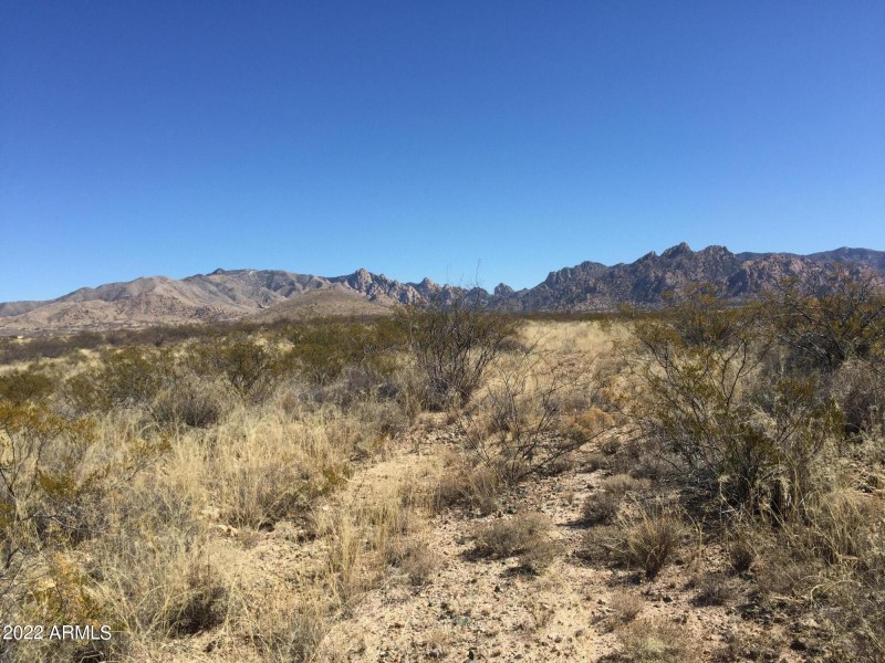 BUTTERFIELD TRAIL