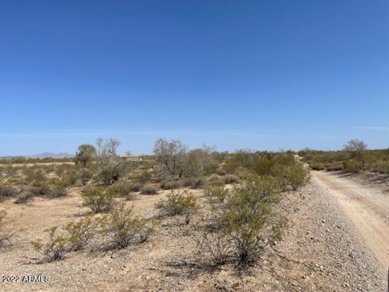 Roadside Photo 1
