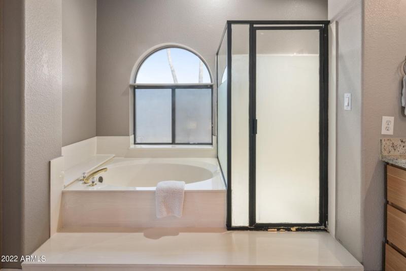 Master Bathroom Separate Tub & Shower