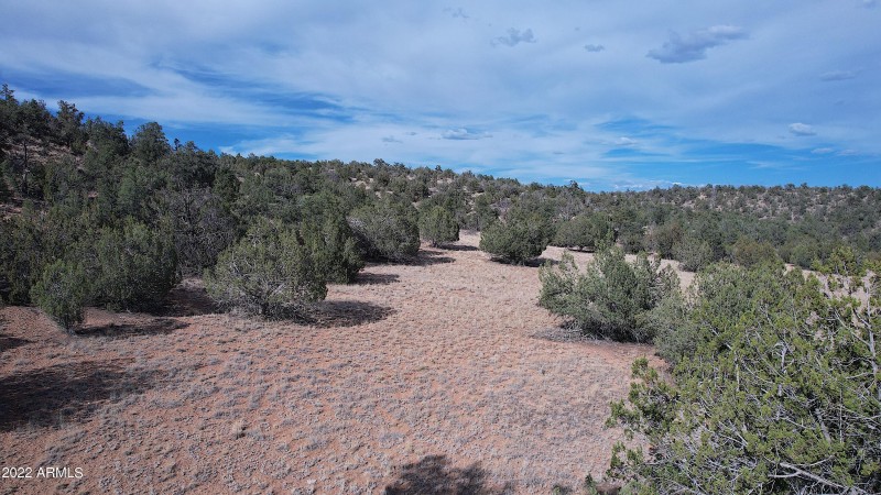 DJI_0104