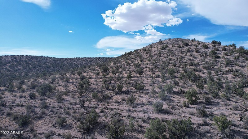 DJI_0091