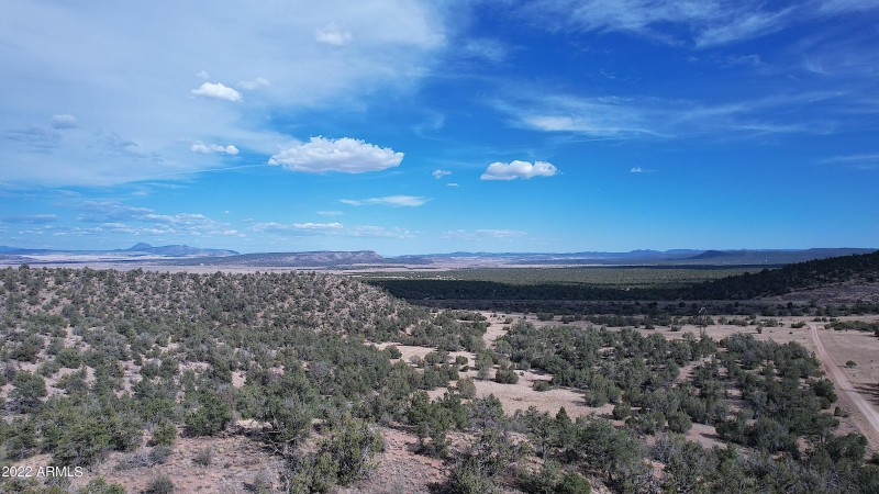 DJI_0088