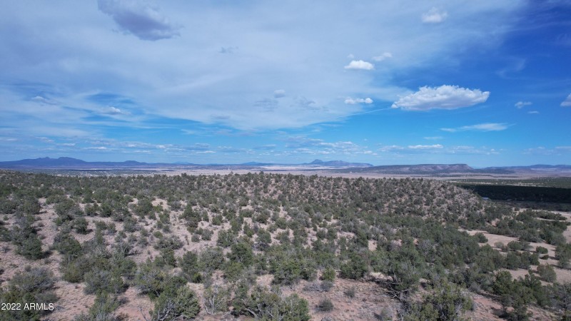 DJI_0087