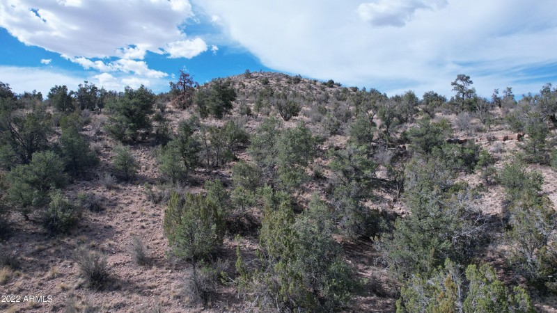 DJI_0082