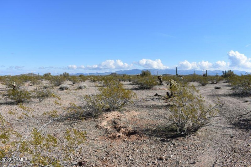 Tonopah 1