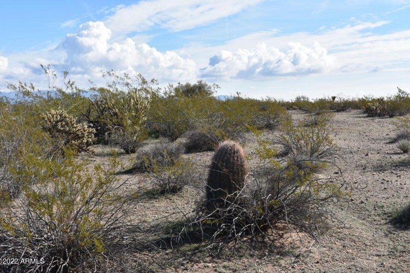 tonopah 2