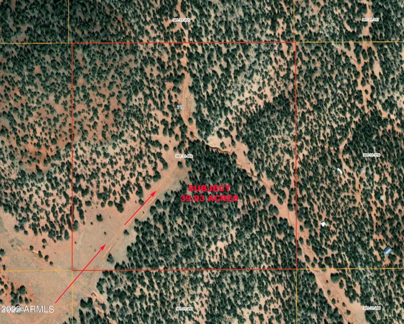 AERIAL 1