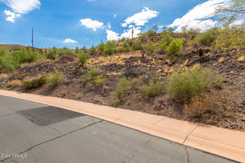 0004-3 - Lava Bluff
