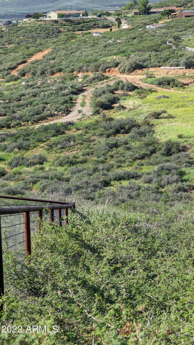 East Fence Line of Neighbor