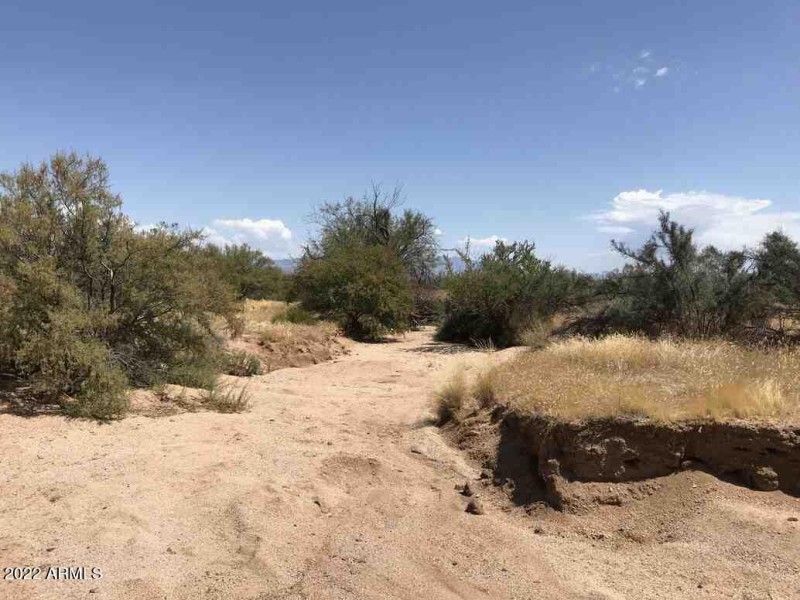 216.77.044 18.34 Acres Wash running thro