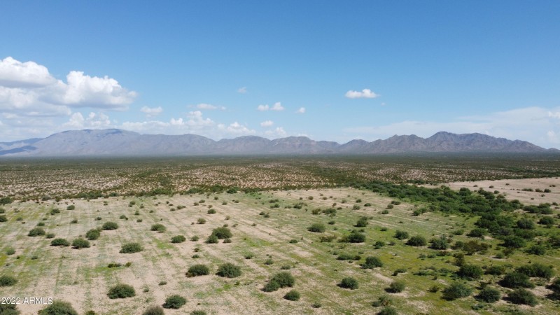 DJI_0768