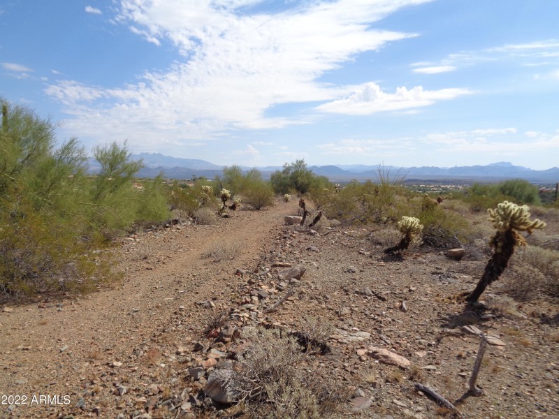 Landscape (3)