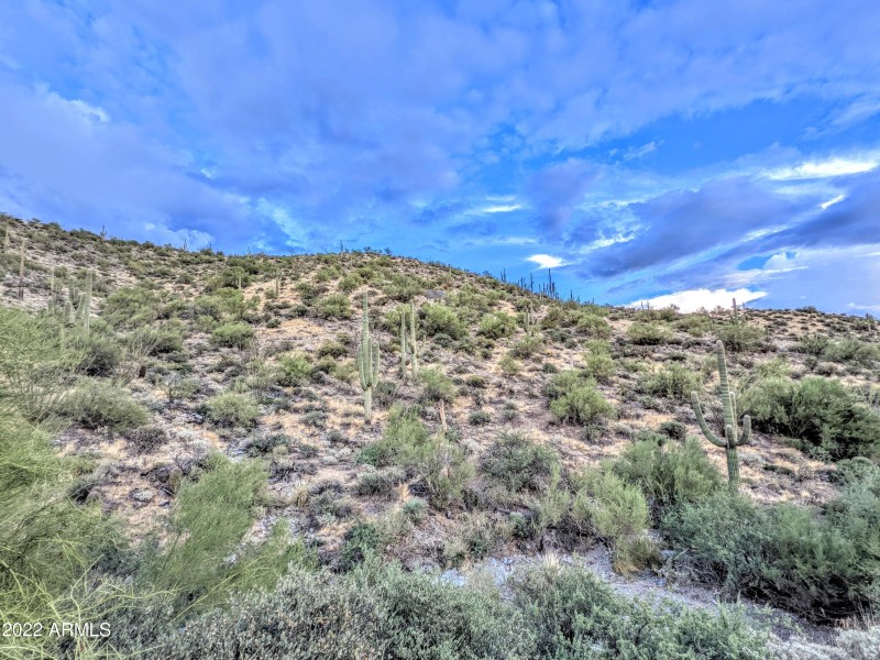 004_PXL_20221009_000145282MP