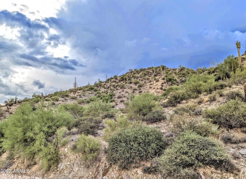 005_Hillside Views
