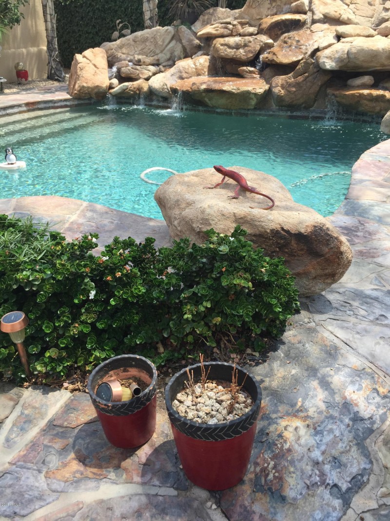 EASY POOL STEPS