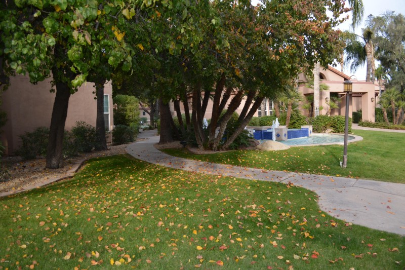 Beautiful Common Area