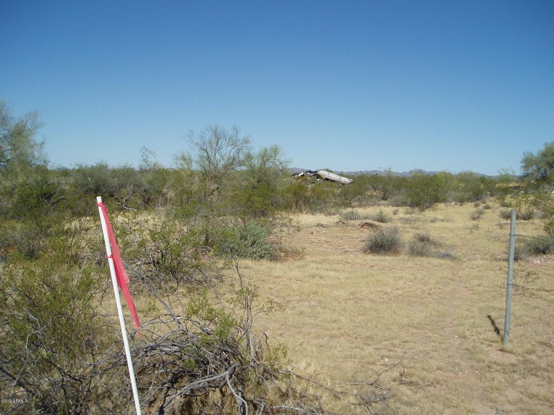 PA080013