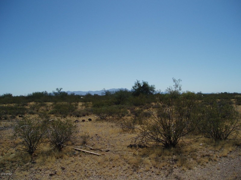 PA080018