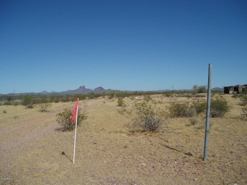 PA080020