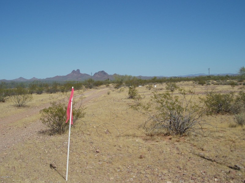 PA080021