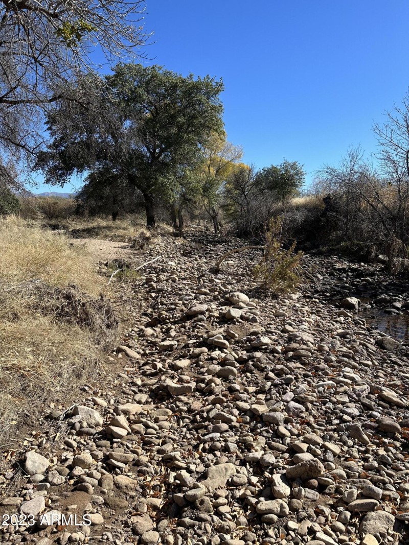Turkey Creek