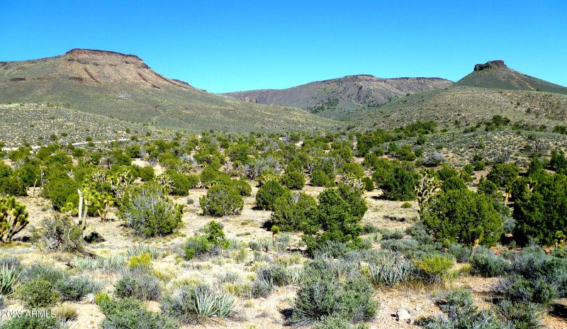 AZ land valley photo 12x7 200dpi 2