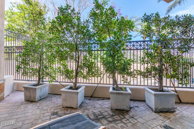 0031-31-Biltmore Estates