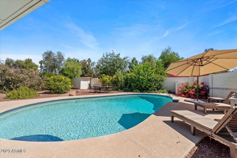 Relaxing Backyard with Pool