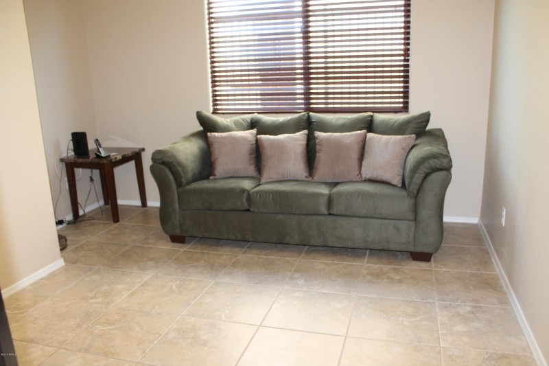 DEN WITH SLEEPER SOFA