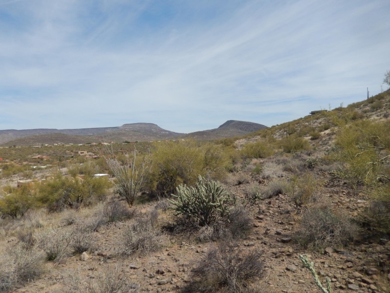 Northeast View