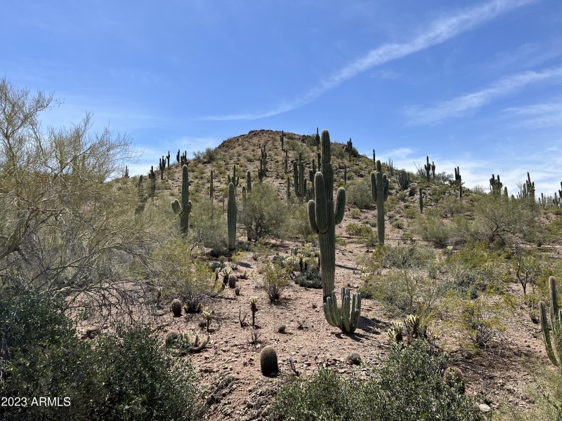 Arizona