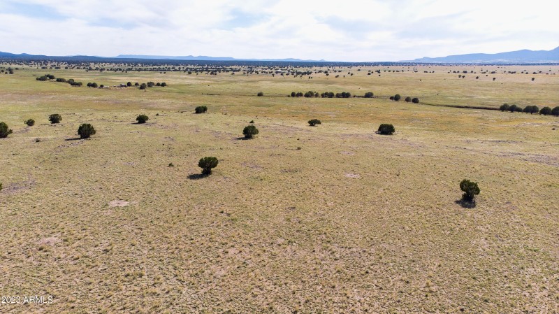 DJI_0126