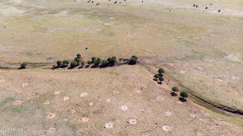 DJI_0133
