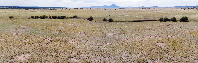 DJI_0147