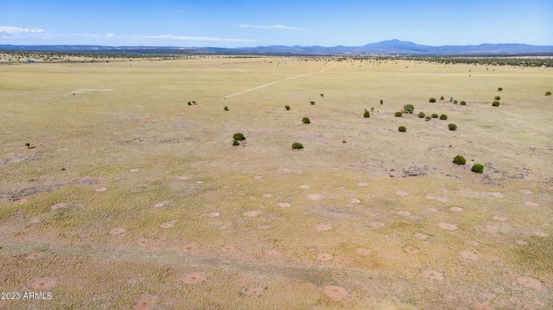 DJI_0155