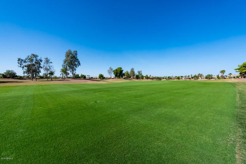 22516 N San Ramon Dr-24