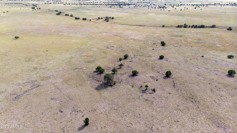 DJI_0172