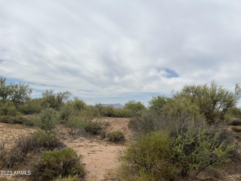 Great Lot For Dream Home