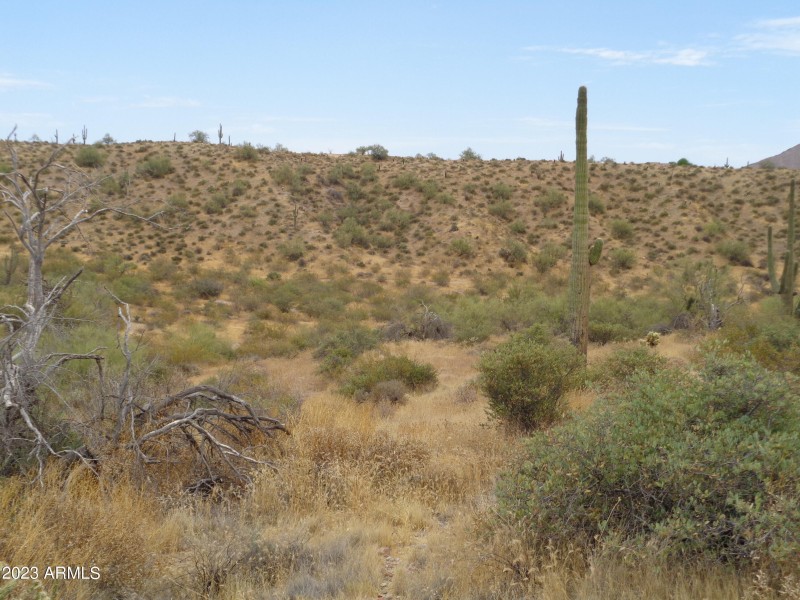 Landscape (1)