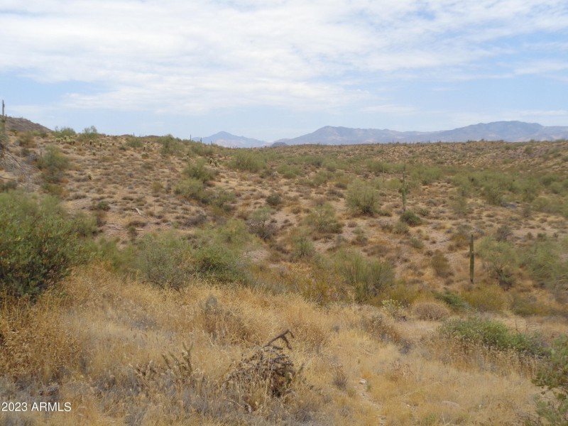 Landscape (2)