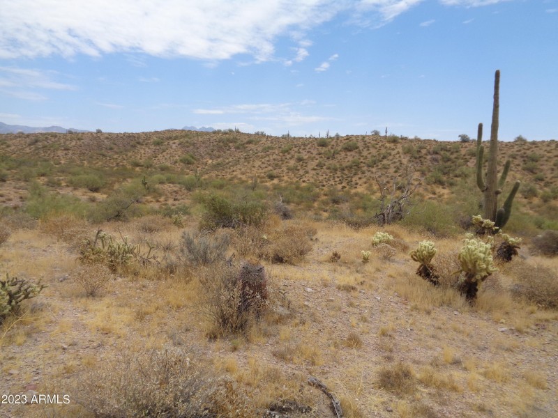 Landscape (3)