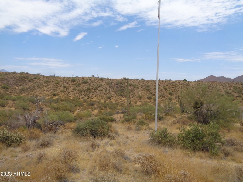 Landscape with Flag Pole
