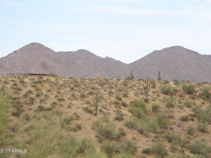 Stewart Mountain