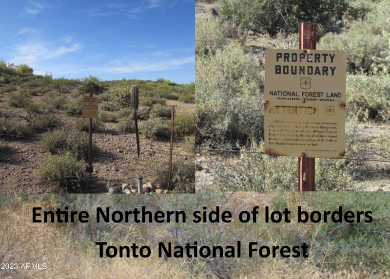 Tonto National Forest