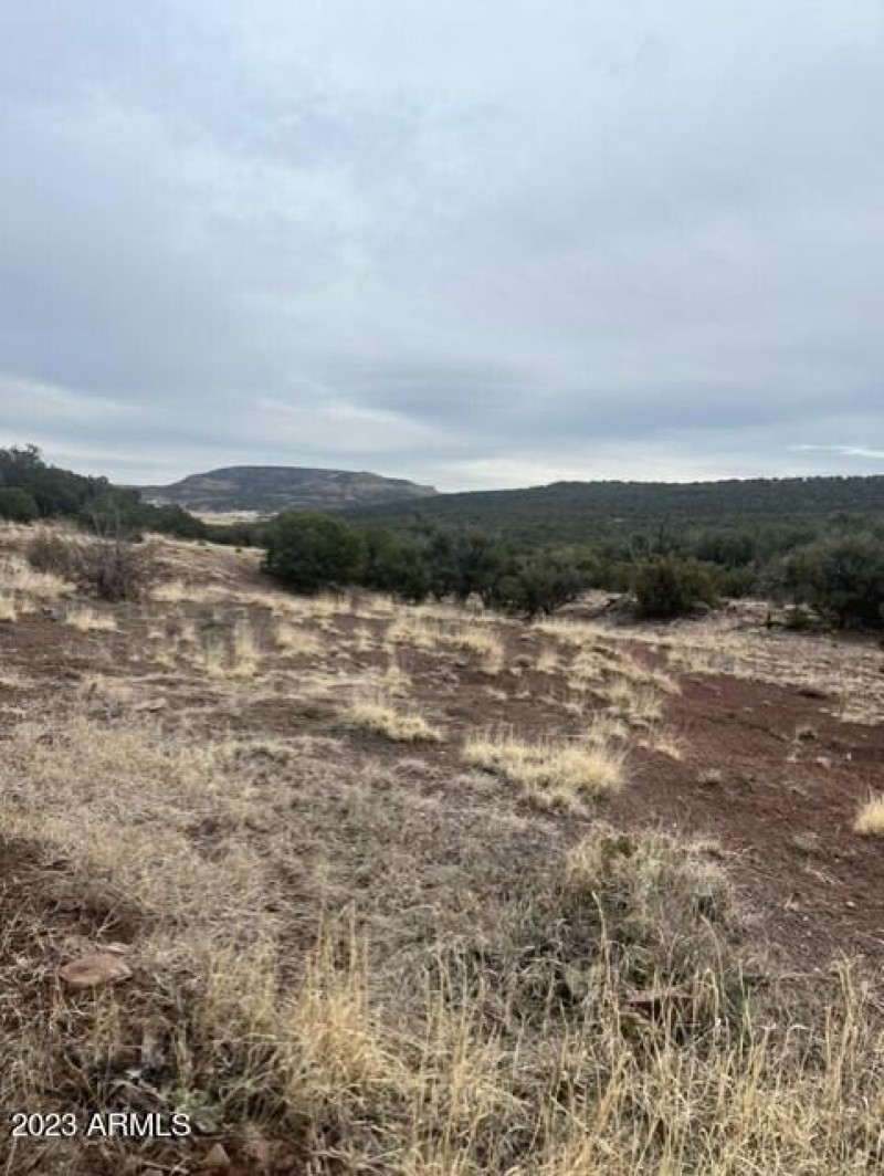 451 County Rd N8716