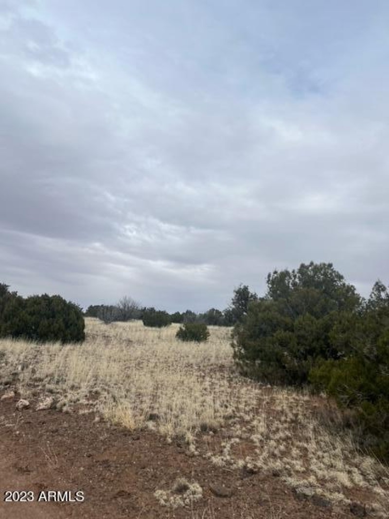 451 County Rd N8716
