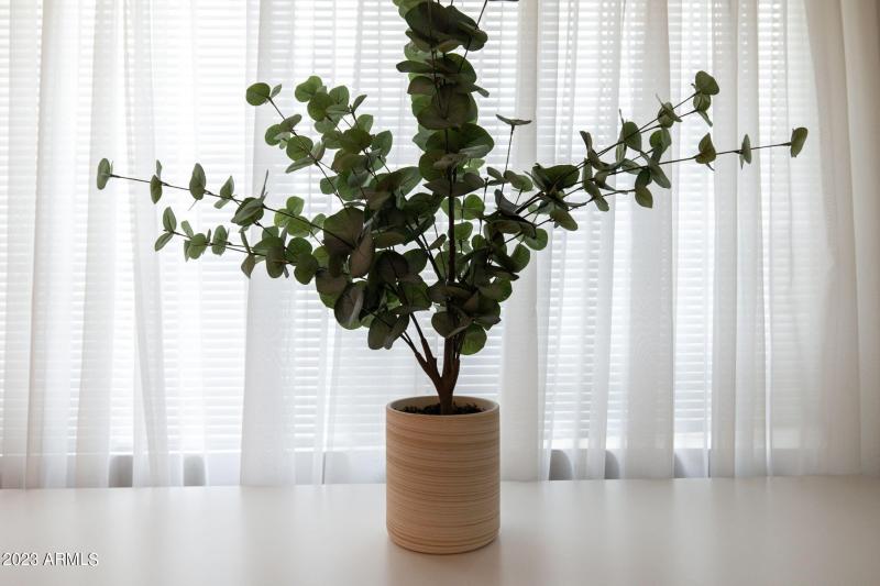 32-web-or-mls-6325-e-carolina-dr